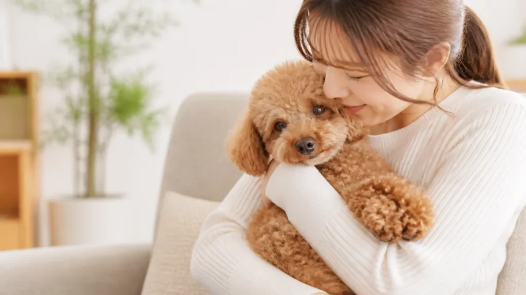 抱っこ犬になる理由は5つ｜抱き癖を直す方法と正しい抱っこの仕方も解説のアイキャッチ画像