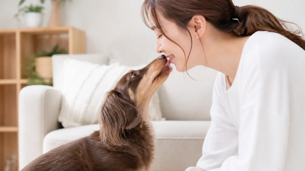 犬が口を舐めてくる理由は6つ｜愛情だけじゃない本音と穏やかにやめさせる方法のアイキャッチ画像