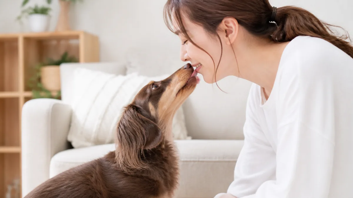 犬が口を舐めてくる理由は6つ｜愛情だけじゃない本音と穏やかにやめさせる方法のアイキャッチ画像