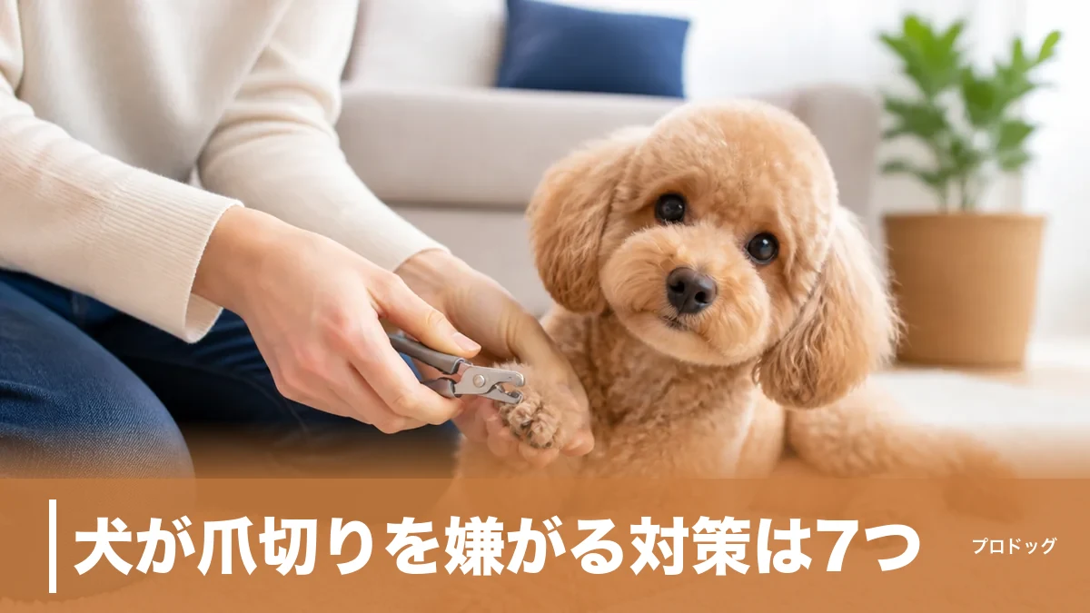 犬が爪切りを嫌がる対策は7つ｜暴れる5つの原因と自宅でできる慣らし方も解説のアイキャッチ画像