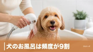 犬のお風呂は頻度が9割｜月1〜2回の理由と温度・入れ方・嫌がる子の慣らし方を解説のアイキャッチ画像