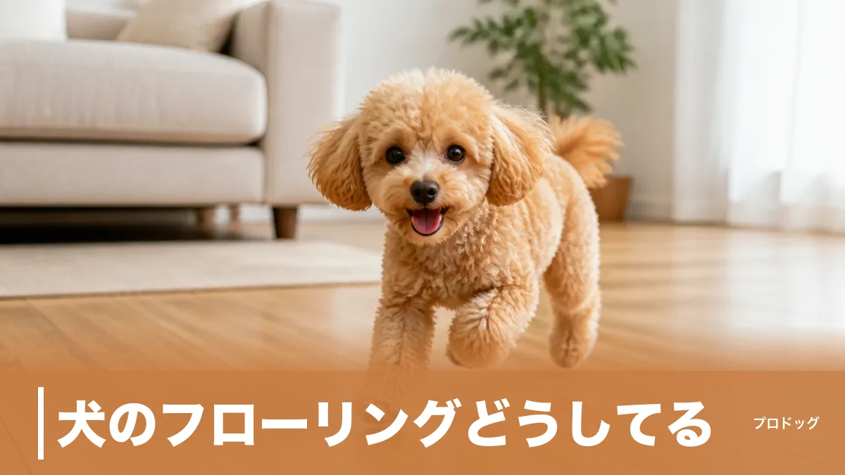 犬のフローリングどうしてる？滑り対策7つと費用・選び方｜やりがちなNGも解説のアイキャッチ画像