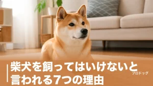 柴犬を飼ってはいけないと言われる7つの理由｜後悔しない人の特徴と接し方も解説のアイキャッチ画像