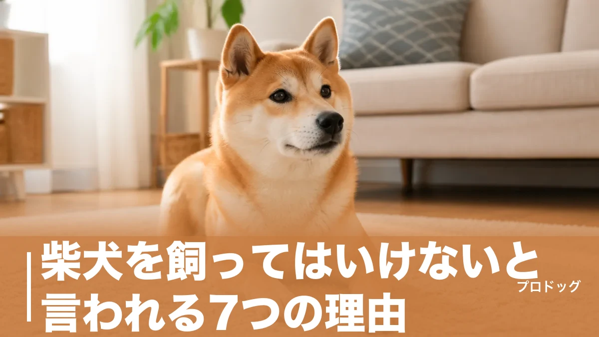 柴犬を飼ってはいけないと言われる7つの理由｜後悔しない人の特徴と接し方も解説のアイキャッチ画像