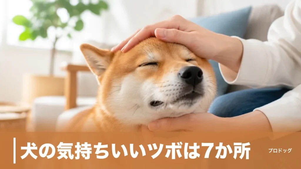 犬の気持ちいいツボは7か所｜とろける撫で方とマッサージのコツ・NGな触り方も解説のアイキャッチ画像