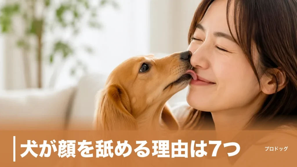 犬が顔を舐める理由は7つ｜愛情サインと注意したい舐め方の見分け方も解説のアイキャッチ画像