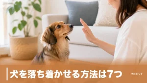 犬を落ち着かせる方法は7つ｜興奮スイッチの切り方と逆効果なNG対応も解説のアイキャッチ画像