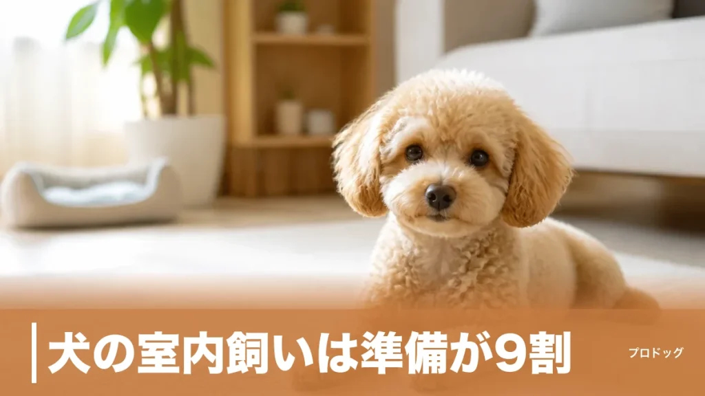 犬の室内飼いは準備が9割｜快適な部屋づくり・費用対策・注意点を初心者向けに解説のアイキャッチ画像