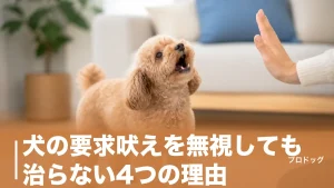 犬の要求吠えを無視しても治らない4つの理由｜悪化させないしつけ手順とNG対応も解説のアイキャッチ画像
