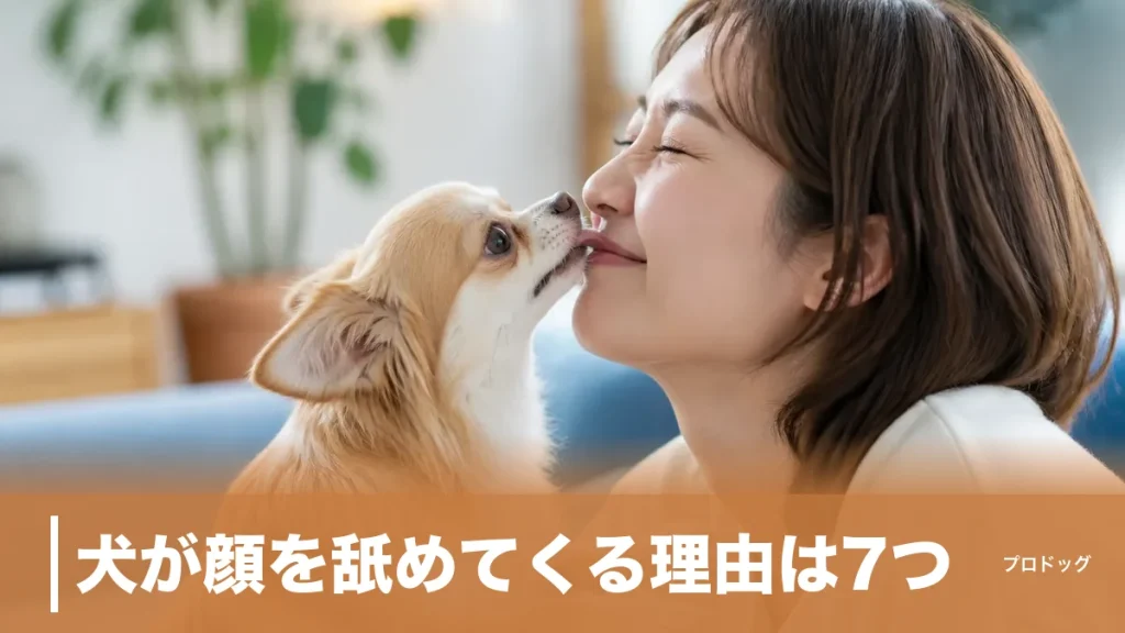 犬が顔を舐めてくる理由は7つ｜朝・帰宅後・寝る前のタイミングでわかる本音と対処法のアイキャッチ画像