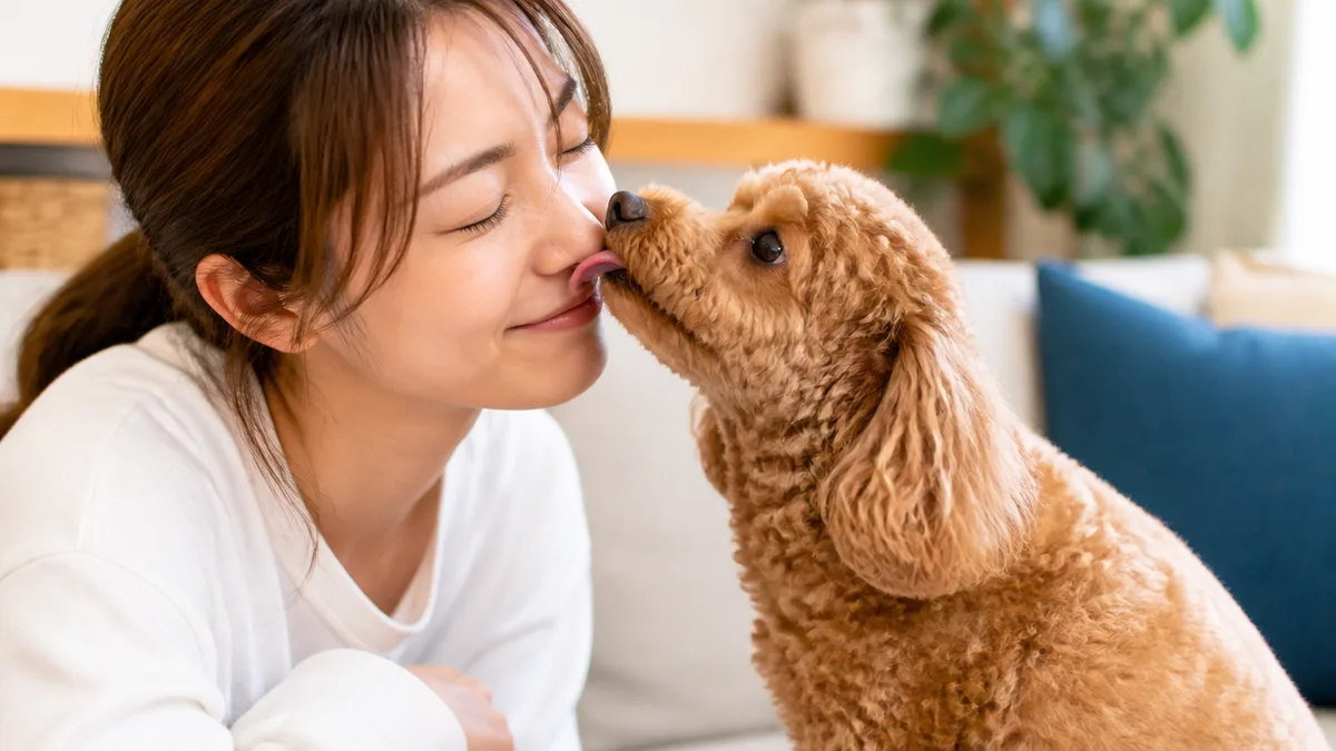 味・におい・不安…見落としやすい3つの理由の解説画像