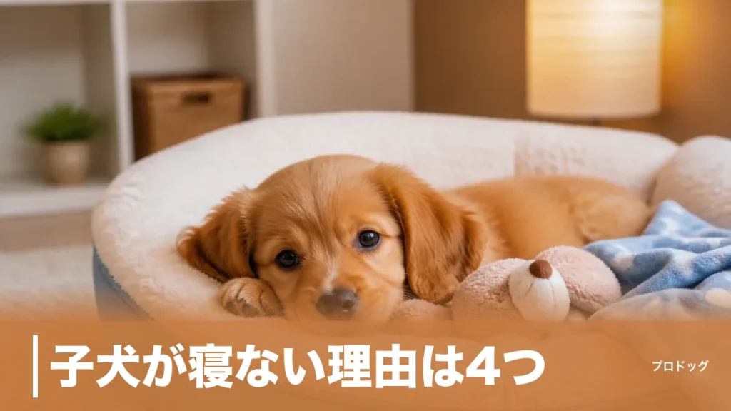 子犬が寝ない理由は4つ｜夜泣きを減らす寝床づくりと月齢別の睡眠時間も解説のアイキャッチ画像