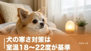 犬の寒さ対策は室温18〜22度が基準｜寒がりサインと室内・散歩の整え方を解説のアイキャッチ画像