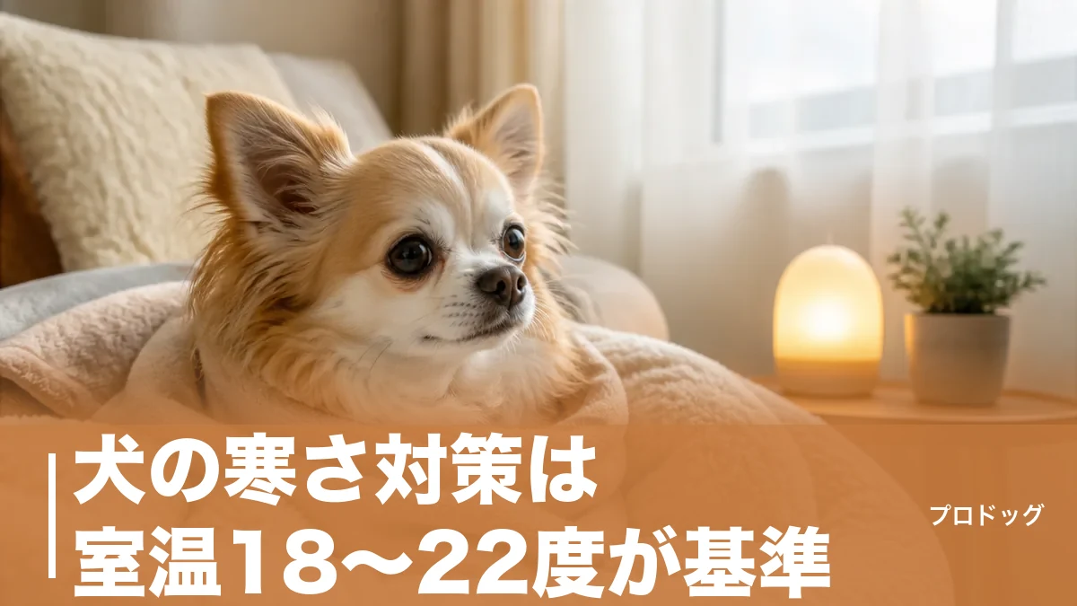 犬の寒さ対策は室温18〜22度が基準｜寒がりサインと室内・散歩の整え方を解説のアイキャッチ画像