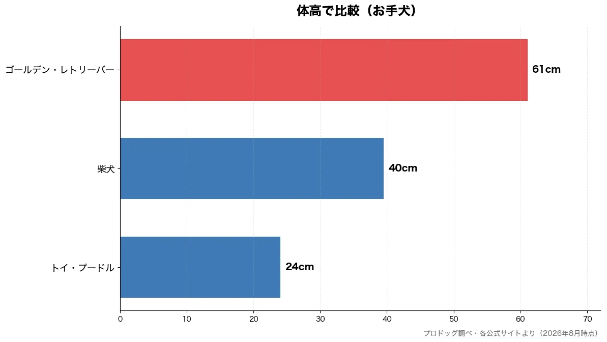 体高の比較チャート（トイ・プードル 24cm・柴犬 40cm・ゴールデン・レトリーバー 61cm）