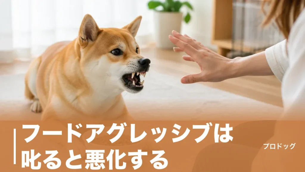 フードアグレッシブは叱ると悪化する｜唸る犬の本音と直す7ステップを解説のアイキャッチ画像