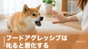 フードアグレッシブは叱ると悪化する｜唸る犬の本音と直す7ステップを解説のアイキャッチ画像