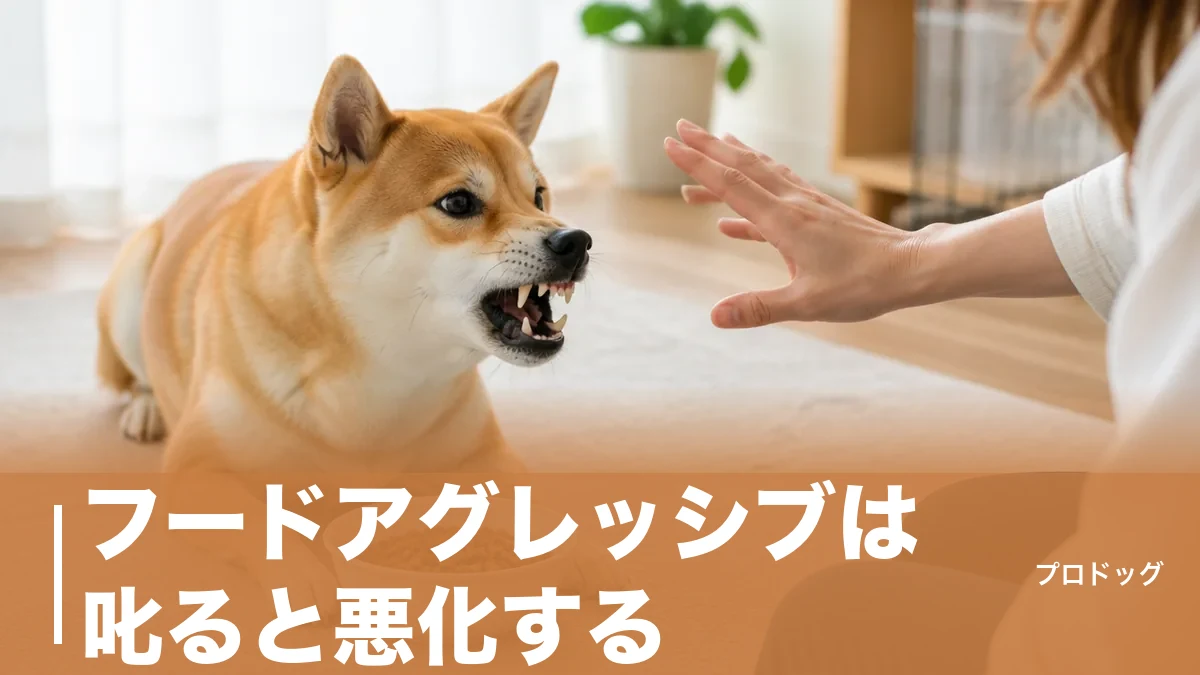フードアグレッシブは叱ると悪化する｜唸る犬の本音と直す7ステップを解説のアイキャッチ画像