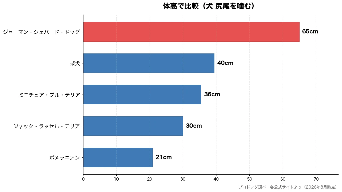 体高の比較チャート（ポメラニアン 21cm・ジャック・ラッセル・テリ 30cm・ミニチュア・ブル・テリア 36cm・柴犬 40cm）