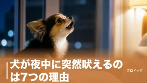 犬が夜中に突然吠えるのは7つの理由｜今夜からできる対策と放置NGなサインも解説のアイキャッチ画像