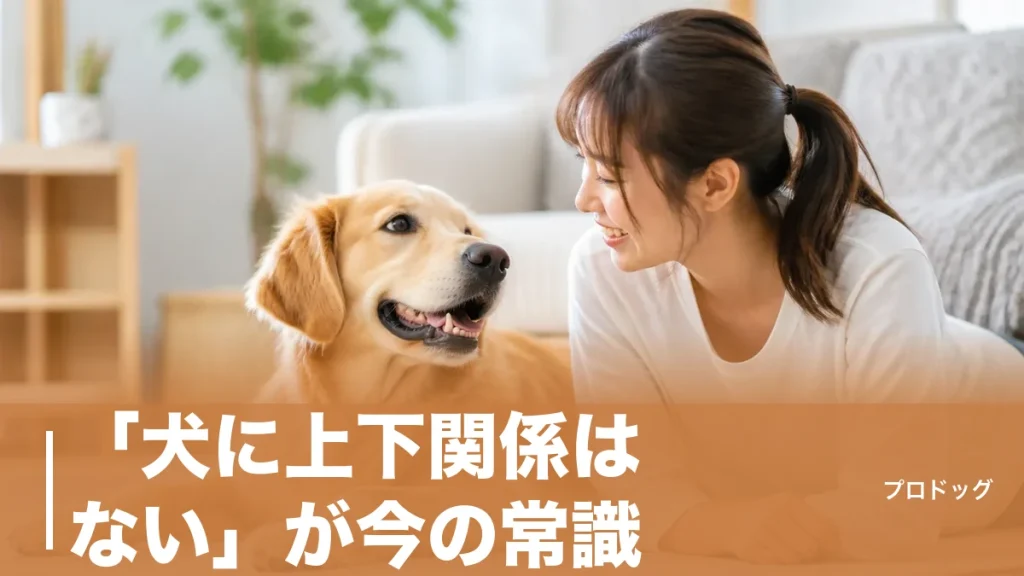 「犬に上下関係はない」が今の常識｜なめられてると誤解しやすい行動と信頼の築き方のアイキャッチ画像