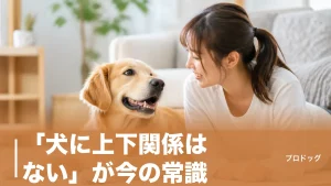 「犬に上下関係はない」が今の常識｜なめられてると誤解しやすい行動と信頼の築き方のアイキャッチ画像