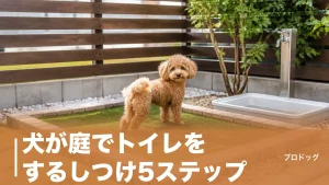 犬が庭でトイレをするしつけ5ステップ｜スペースの作り方と費用・におい対策も解説のアイキャッチ画像