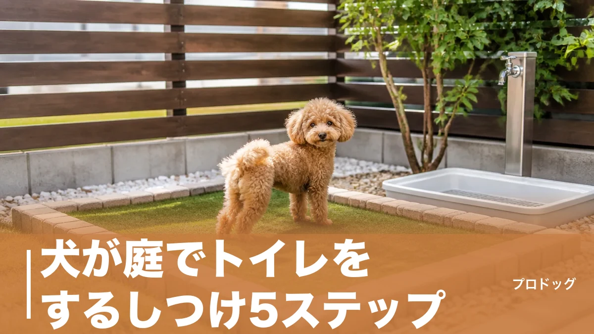 犬が庭でトイレをするしつけ5ステップ｜スペースの作り方と費用・におい対策も解説のアイキャッチ画像