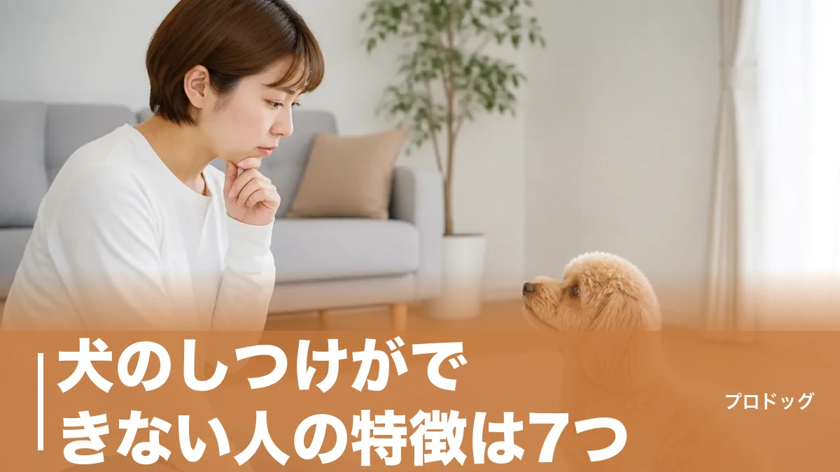 犬のしつけができない人の特徴は7つ|性格のせいじゃない原因と今日から直す手順のアイキャッチ画像