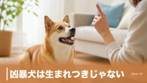 凶暴犬は生まれつきじゃない｜攻撃的になる原因4タイプと今日から変える対処法のアイキャッチ画像