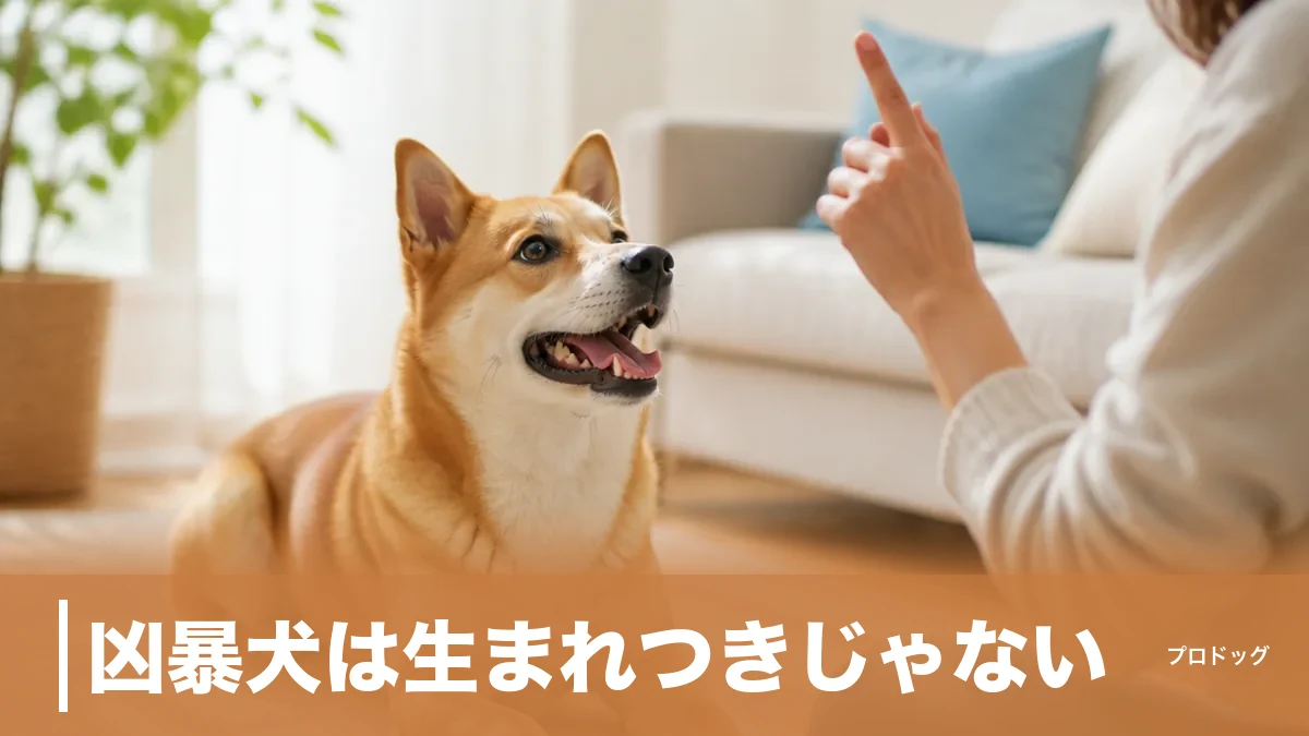凶暴犬は生まれつきじゃない｜攻撃的になる原因4タイプと今日から変える対処法のアイキャッチ画像